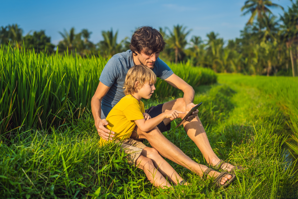 Setting up a Homeschool Summer Reading Program