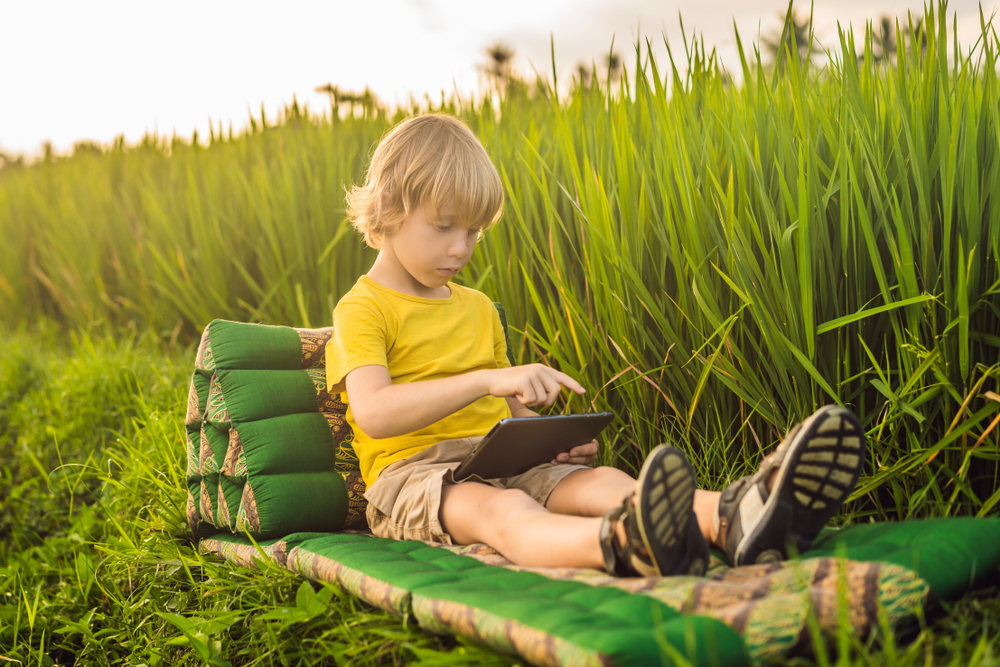 Setting up a Homeschool Summer Reading Program